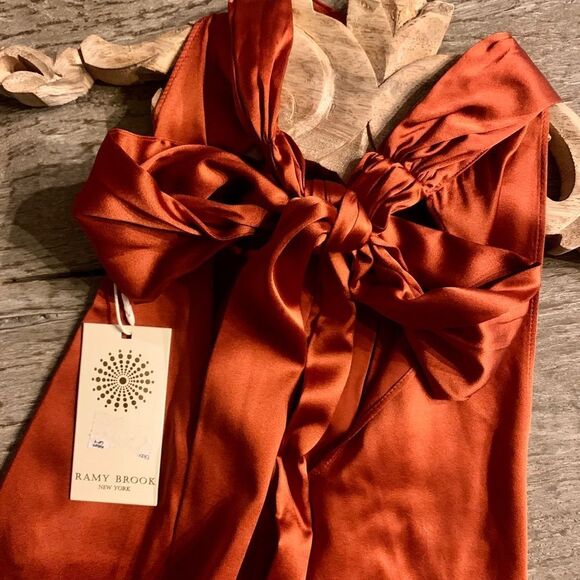 Ramy Brook Lori Halter Tie Back Silk Top in Clay (Red). - Picture 8 of 12